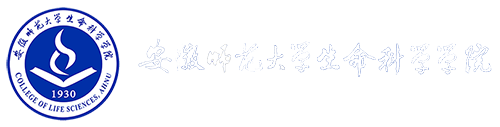 bet36365路检测中心